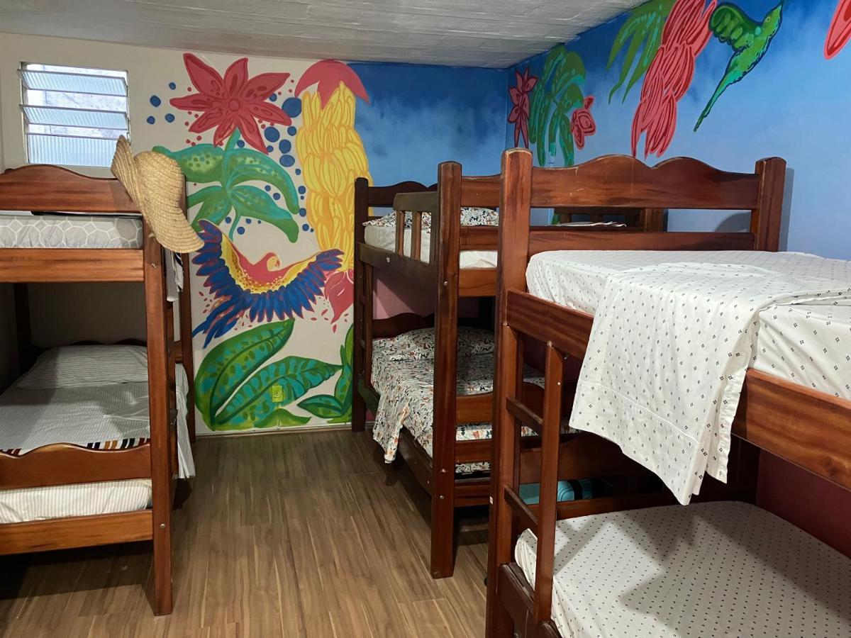 Bunk Bed in Mixed Dormitory Room,1427736511:JPEG