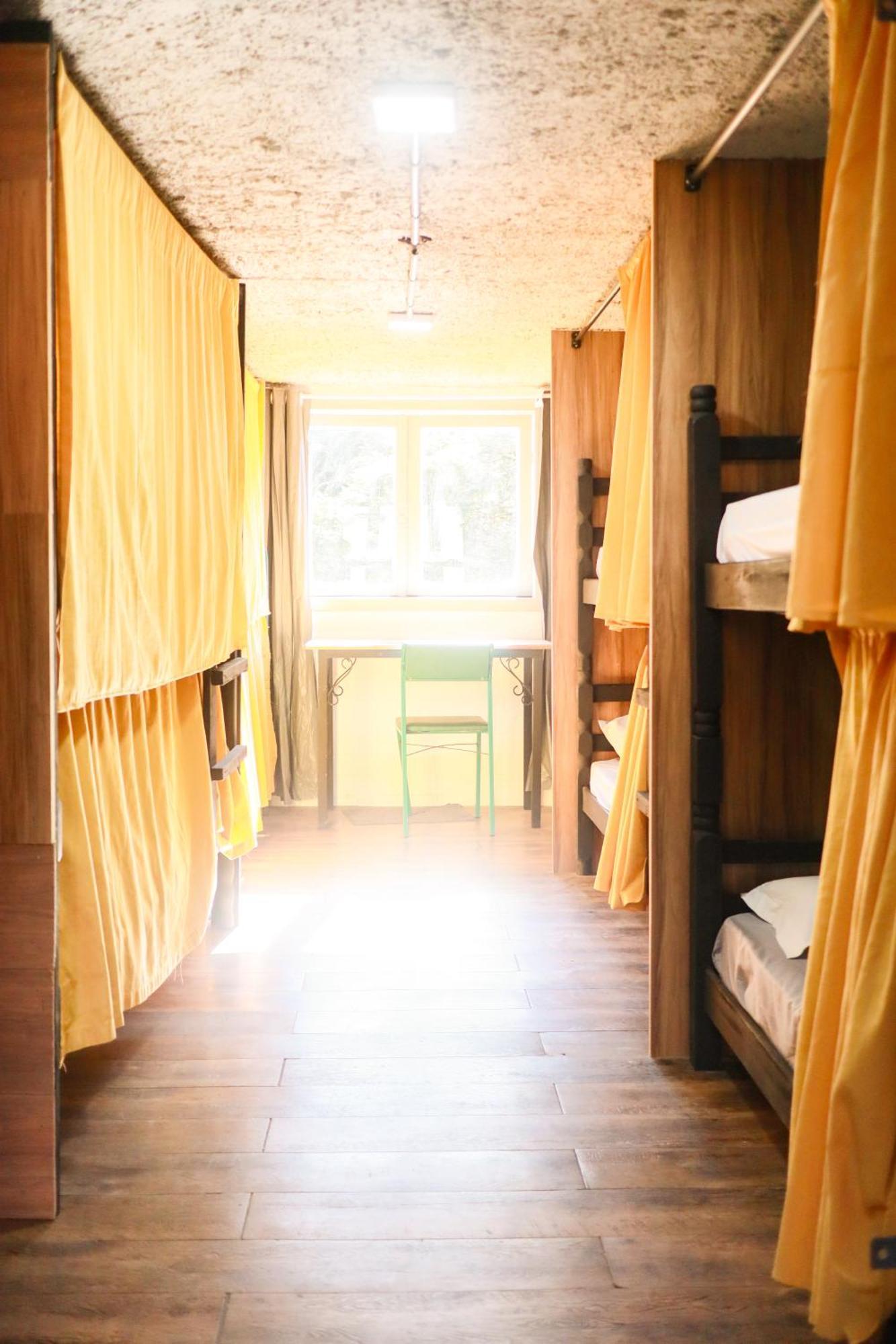 Bunk Bed Mixed Dormitory Room,1699430421:JPEG