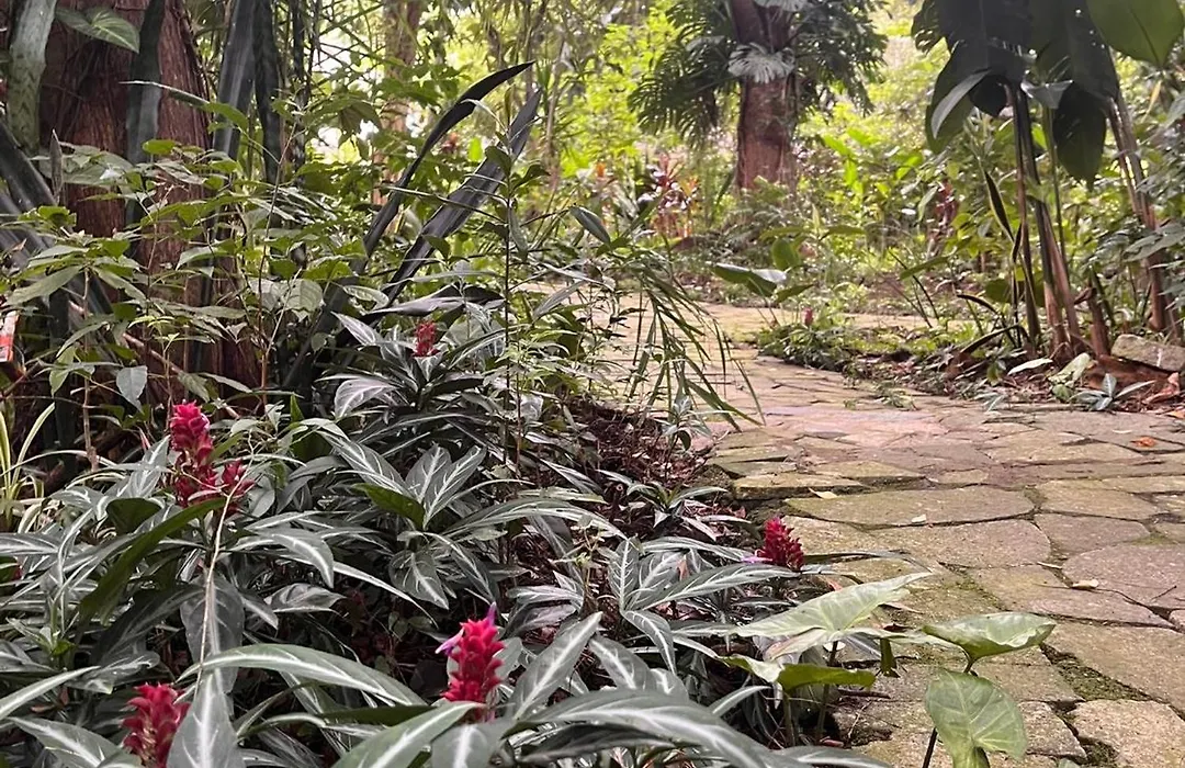 Hotel Curitiba Campo Comprido-1