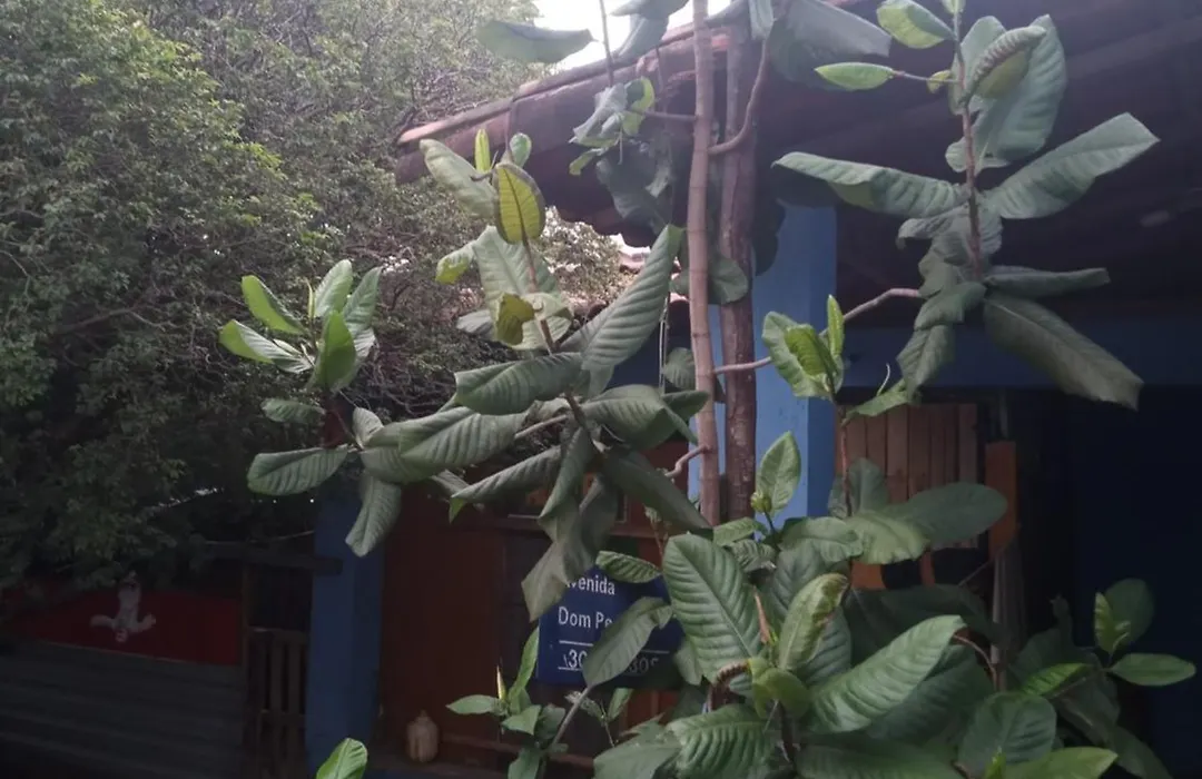 Hostel Jabuticaba-1