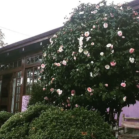 Pousada Gardenia Guest House-2