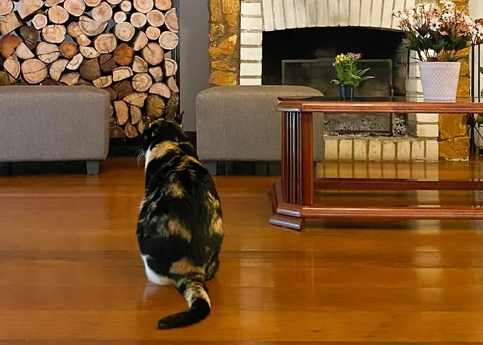 Hotel BaratoPousada Vovô Nino