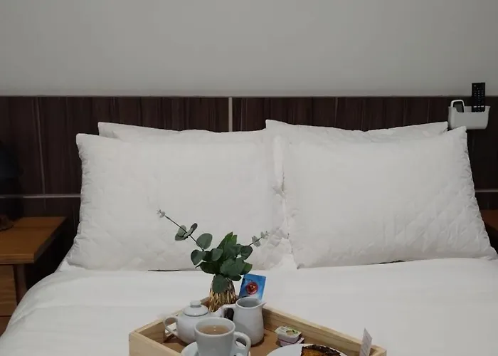 Miotto Executive Hotel Navegantes